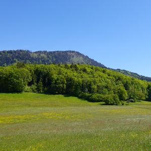 Превью обои долина, поле, горы, деревья, пейзаж