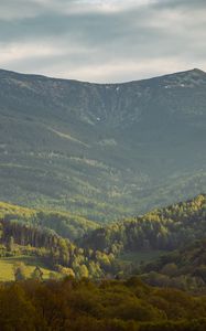 Превью обои долина, склон, деревья, горы