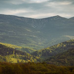 Превью обои долина, склон, деревья, горы