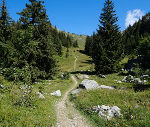 Превью обои долина, тропинка, деревья, природа, пейзаж