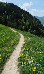 Превью обои долина, тропинка, лес, пейзаж