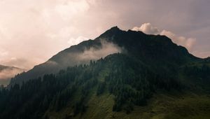 Превью обои долина, вершина, зеленый, лес