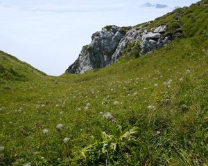 Превью обои долина, зелень, скалы, пейзаж, природа