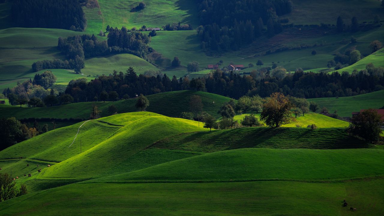 Обои долина, зеленый, поля, хирцель, швейцария
