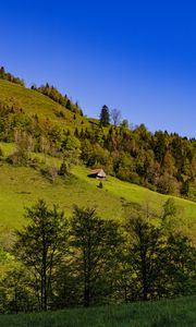 Превью обои дом, деревья, холм, горы, небо, природа