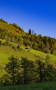 Превью обои дом, деревья, холм, горы, небо, природа