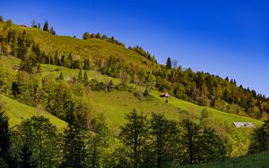 Превью обои дом, деревья, холм, горы, небо, природа