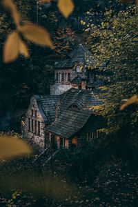 Превью обои дом, деревья, кусты, лес