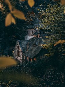 Превью обои дом, деревья, кусты, лес
