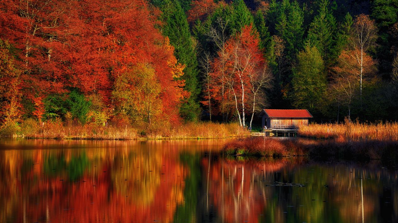 Обои дом, деревья, лес, озеро, отражение, осень, природа