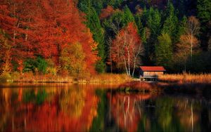 Превью обои дом, деревья, лес, озеро, отражение, осень, природа