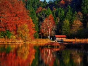 Превью обои дом, деревья, лес, озеро, отражение, осень, природа
