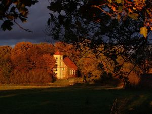 Превью обои дом, деревья, осень, ветви, тень, тучи, небо