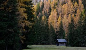 Превью обои дом, деревья, скала, рельеф