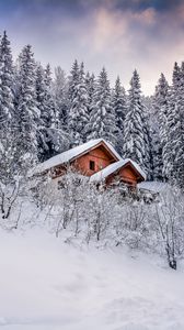 Превью обои дом, деревья, снег, зима, природа