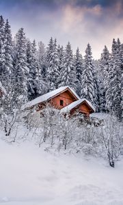 Превью обои дом, деревья, снег, зима, природа