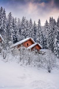 Превью обои дом, деревья, снег, зима, природа