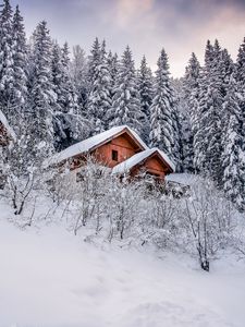 Превью обои дом, деревья, снег, зима, природа