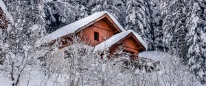 Превью обои дом, деревья, снег, зима, природа
