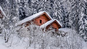 Превью обои дом, деревья, снег, зима, природа