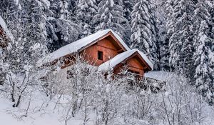Превью обои дом, деревья, снег, зима, природа