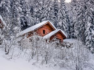 Превью обои дом, деревья, снег, зима, природа