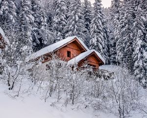 Превью обои дом, деревья, снег, зима, природа
