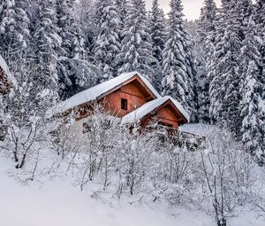 Превью обои дом, деревья, снег, зима, природа