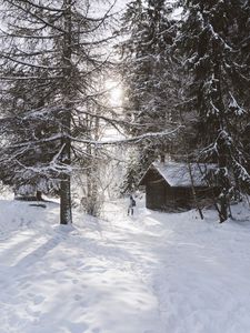Превью обои дом, деревья, снег, зима, силуэт