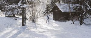 Превью обои дом, деревья, снег, зима, силуэт