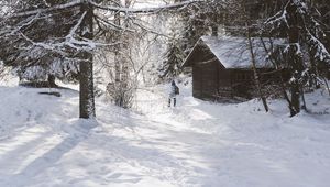 Превью обои дом, деревья, снег, зима, силуэт