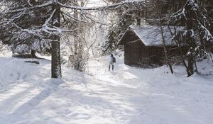 Превью обои дом, деревья, снег, зима, силуэт