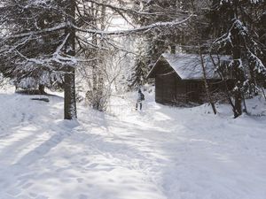 Превью обои дом, деревья, снег, зима, силуэт
