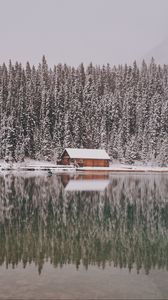 Превью обои дом, деревья, снег, отражение, озеро, пейзаж