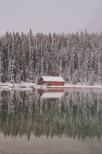 Превью обои дом, деревья, снег, отражение, озеро, пейзаж