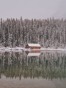 Превью обои дом, деревья, снег, отражение, озеро, пейзаж