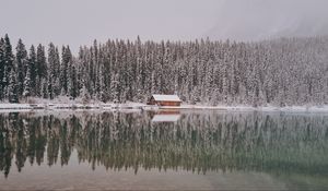 Превью обои дом, деревья, снег, отражение, озеро, пейзаж