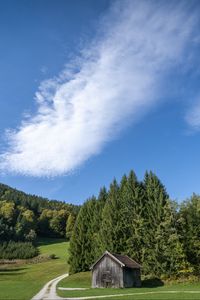 Превью обои дом, деревья, тропинка, лес, пейзаж