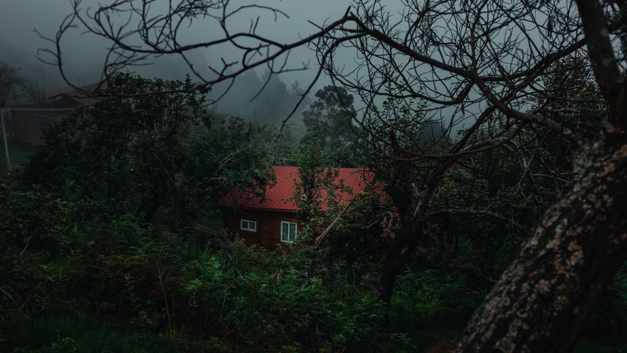 Обои дом, деревья, туман, природа, загородный