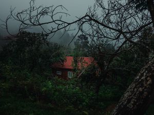 Превью обои дом, деревья, туман, природа, загородный