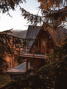 Превью обои дом, деревья, ветки, природа, уют
