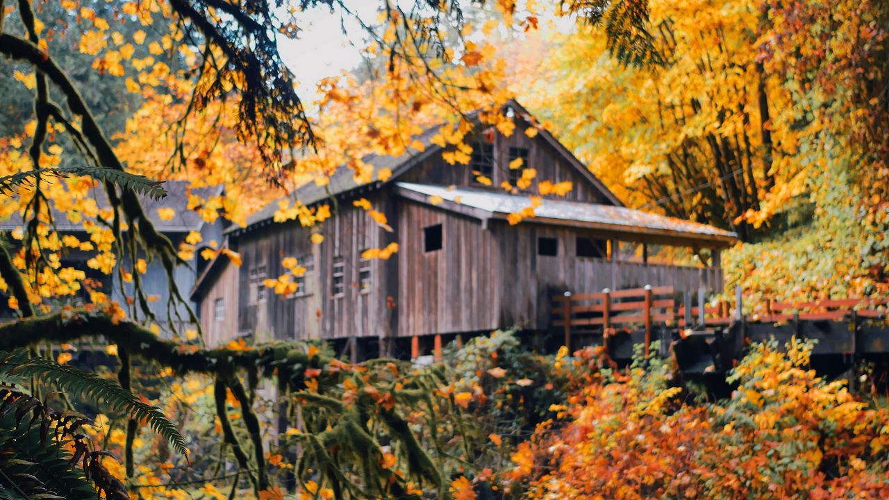 Обои дом, деревянный, природа, осень