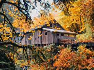 Превью обои дом, деревянный, природа, осень