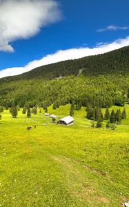 Превью обои дом, долина, деревья, горы, природа