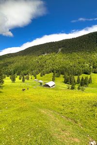 Превью обои дом, долина, деревья, горы, природа