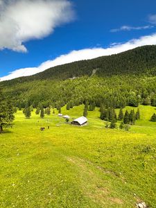 Превью обои дом, долина, деревья, горы, природа