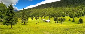 Превью обои дом, долина, деревья, горы, природа