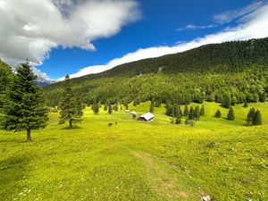 Превью обои дом, долина, деревья, горы, природа