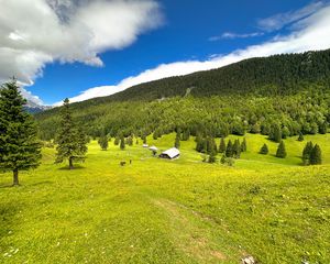 Превью обои дом, долина, деревья, горы, природа
