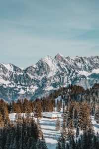 Превью обои дом, горы, деревья, снег, зима, природа